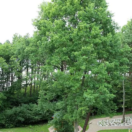 Apartament Dwie Sosny 1 - Ustronie Morskie Zewnętrze zdjęcie