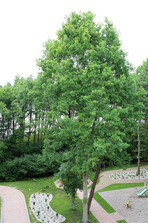 Apartament Dwie Sosny 1 - Ustronie Morskie Apartment *